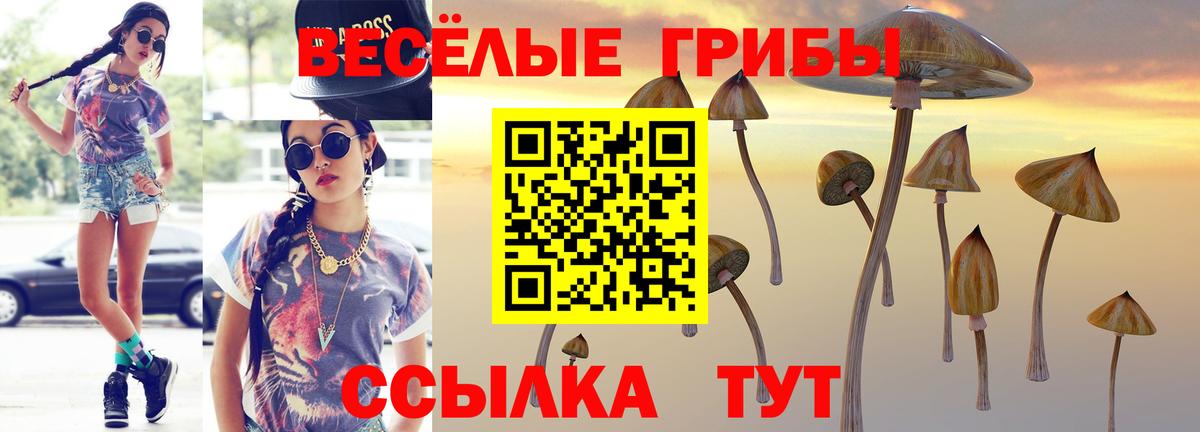 закладки  Вход с VPN  Северск  Псилоцибиновые грибы Magic Shrooms  Псилоцибиновые грибы мухоморы 